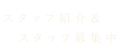 スタッフ紹介＆スタッフ募集中