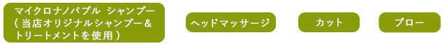 炭酸シャンプー＋頭皮洗浄