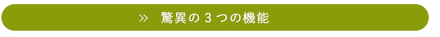 驚異の3つの機能