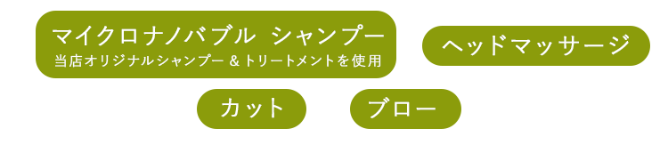 炭酸シャンプー＋頭皮洗浄